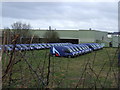 A gathering of gas vans