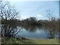 View across Heronry Pond from the path to the refreshment kiosk