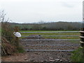 Field entrance near Southill Barton