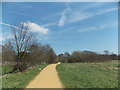 View back along the path towards the refreshment kiosk