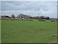 Farmland towards Hart