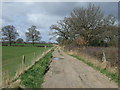 Farm track off Pinfold Lane