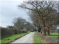 Pinfold Lane 