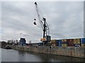 SJ7293 : Container crane, Irlam Wharf by Christine Johnstone