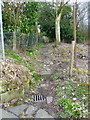 Path from Green Road to Hagg Street, Colne