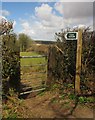 Gate onto footpath by Barlinch Plantation