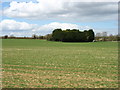 SP3312 : Fields at Breach Farm by David Purchase