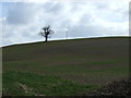 Farmland, Vicar