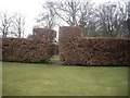 NZ1718 : A beech hedge at Headlam Hall by Stanley Howe