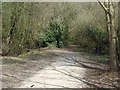 Nature trail heading north, Stretton