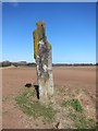 NT6177 : Kirklandhill Standing Stone by Dr Duncan Pepper