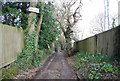 Footpath to Beech Farm