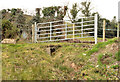 Gate near Saintfield