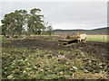 Farmland near Carrbridge