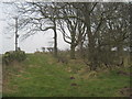 Footpath  to  Moor  Lane