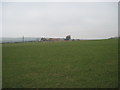 Across  fields  to  Borrowby  Grange  Farm