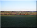 Upland view,Tow Law in the distance