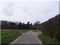 TM0879 : Ling Road and footpath to Magpie Hill by Geographer