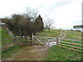 The path from West End Lane