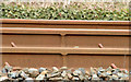 J4582 : Welded rail near Helen's Bay station by Albert Bridge
