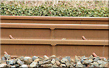 J4582 : Welded rail near Helen's Bay station by Albert Bridge