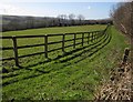 SS5513 : Fence around field, Halsdon by Derek Harper