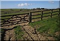 SS5513 : Gate, fence and view near Halsdon Farm by Derek Harper