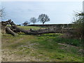 TF7919 : Tree trunk blocking a field entrance by Richard Humphrey