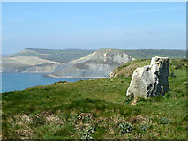 SY9575 : A deceptive rock, St. Aldhelm's Head by Robin Webster