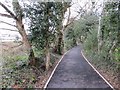 Llwybr Crymlyn Grove Footpath