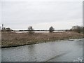 The north bank of the Manchester Ship Canal