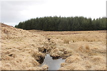 NX5463 : Burn near the Clints of Dromore by Billy McCrorie