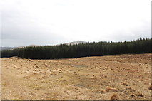 NX5463 : Moorland & Woodland near the Clints by Billy McCrorie