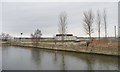 Wigg Island bird hide