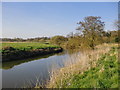 The River Wey, near Whitehouse Farm: view downstream