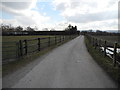 Access road leading to Ladybrook Nursery