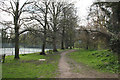 Mortlake: Footpath and trees, Palewell Park