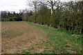 Hedge and wooded reservoir