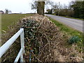 Ashby Road near Meadowlands Farm