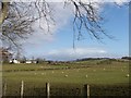 Newhouse Farm from the Jackton Road