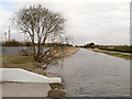 Sankey Canal from Carter House Bridge