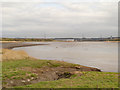 SJ5385 : River Mersey, Salt Marsh at Widnes Waterfront by David Dixon