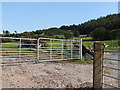 Field gates on Owens Road