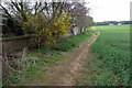 Footpath to Boughton End