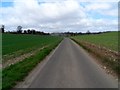 Claggy Road in Claggy Bottom