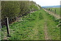 Bridleway to the A507