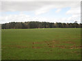 NU0833 : Grazing land on Whinney Hill by Graham Robson