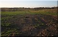 Farmland near Parkyns