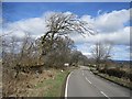 A822 passing Easter Muirhead Plantation