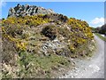 Gabbro outcrop